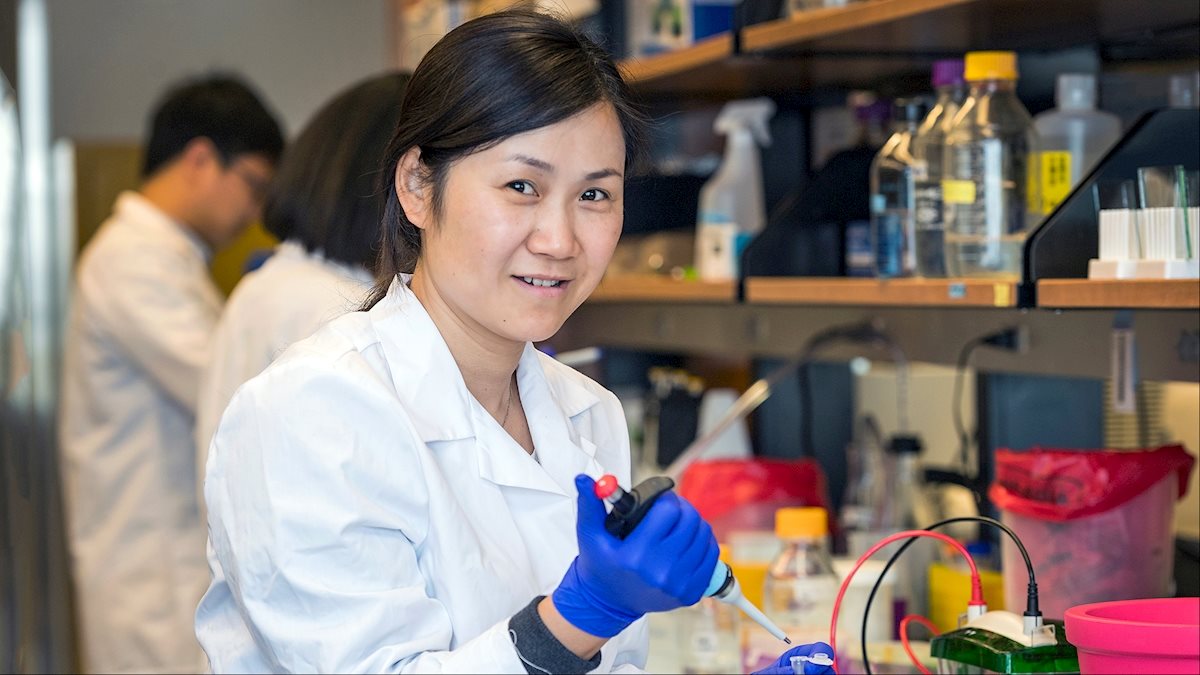 Dr. Wei Du is awarded for Leukemia Research Foundation (LRF) new investigator award!